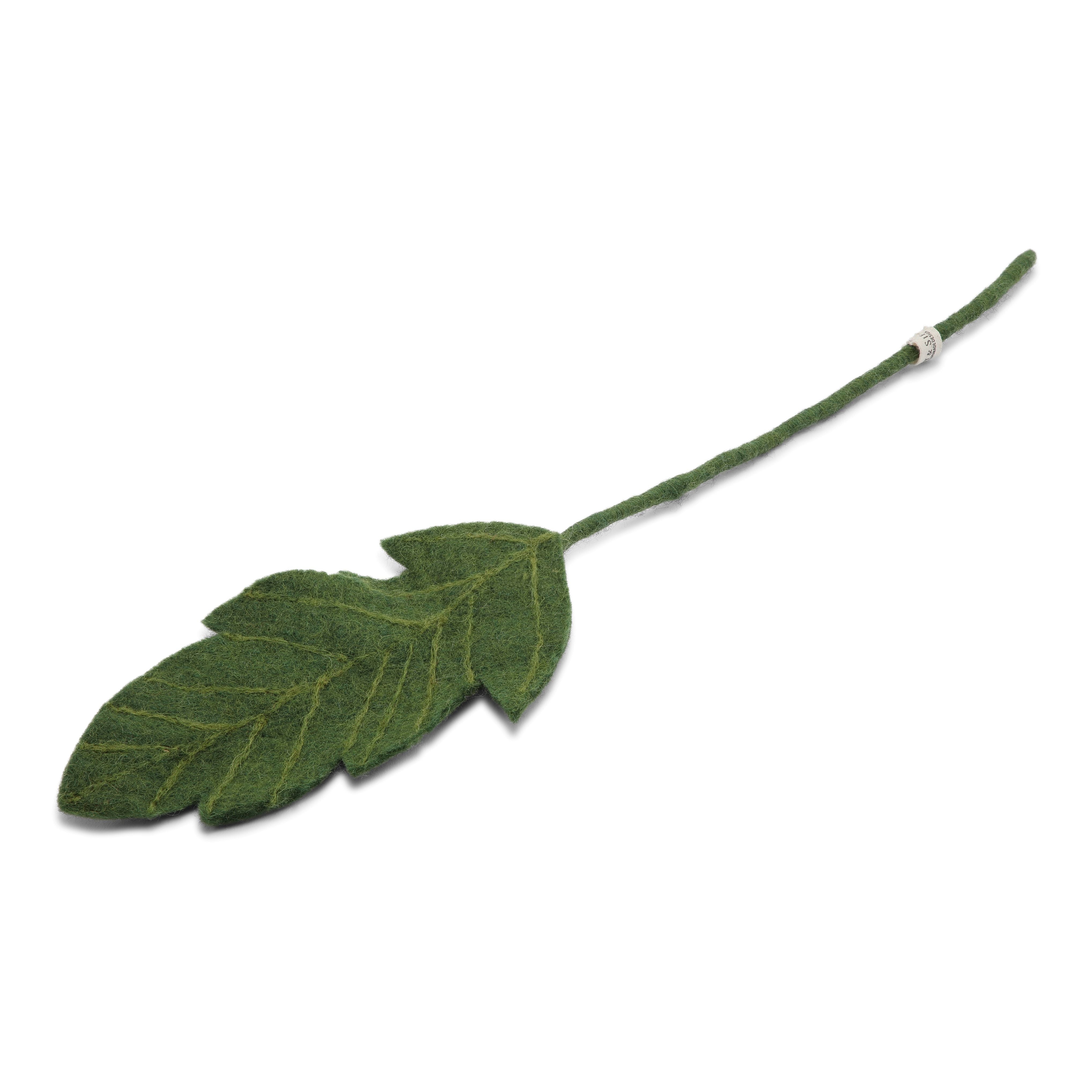 Green Floral Branch