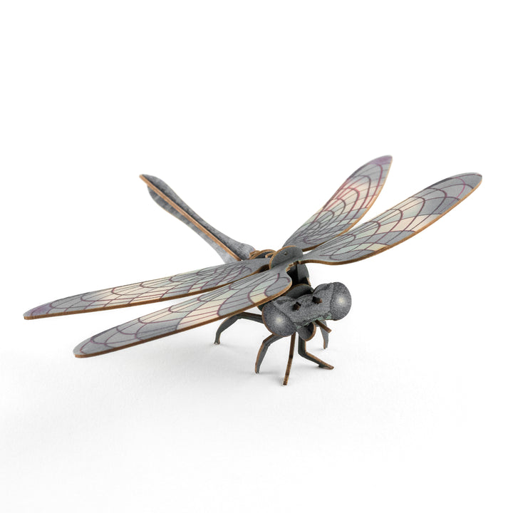 Crafty Card - Dragonfly